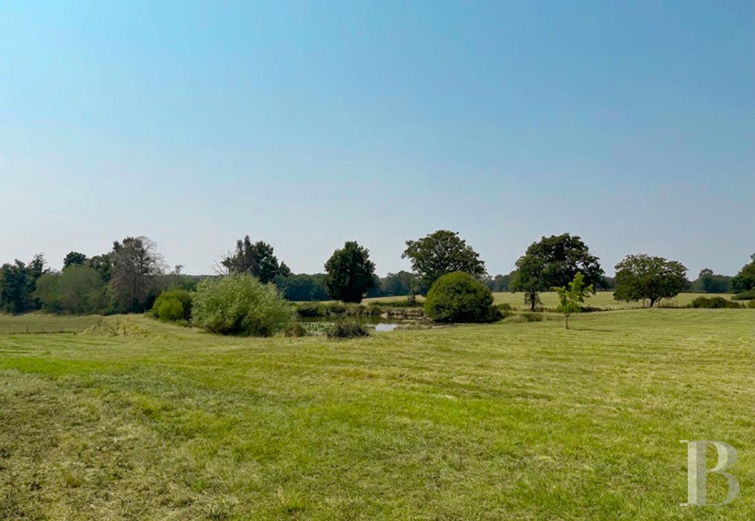 France mansions for sale poitou charentes   - 13